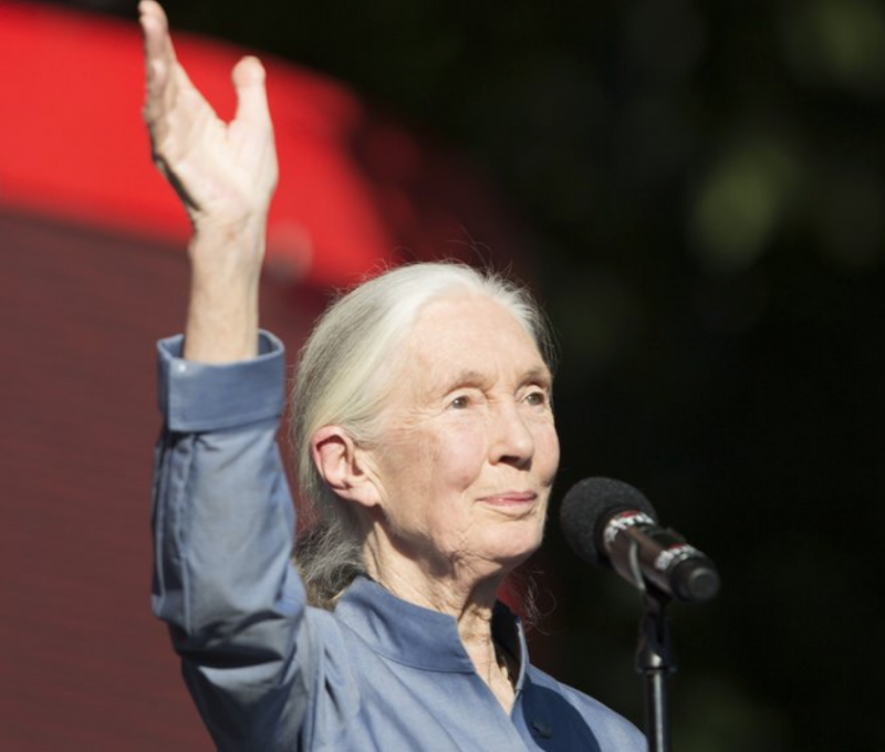 Jane Goodall Calls For Climate Change Action To Save Planet At Global Citizen Festival - Women Speak