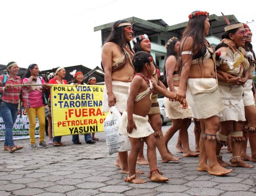 Ecuador’s Indigenous Women’s Restless Defense Of The Amazon “Living Forest”