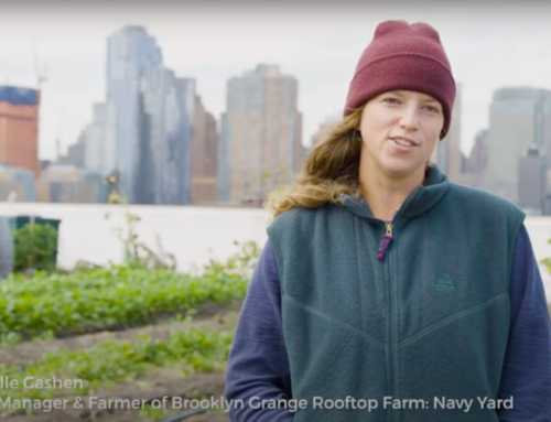 Meet Your Farmer: Brooklyn Grange, The World’s Largest Rooftop Urban Farm United States