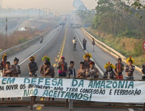 How Indigenous Land Rights Could Help Save The Brazilian Amazon From Deforestation