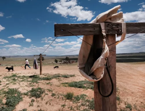 ‘The US Dammed Us Up’: How Drought Is Threatening Navajo Ties To Ancestral Lands 