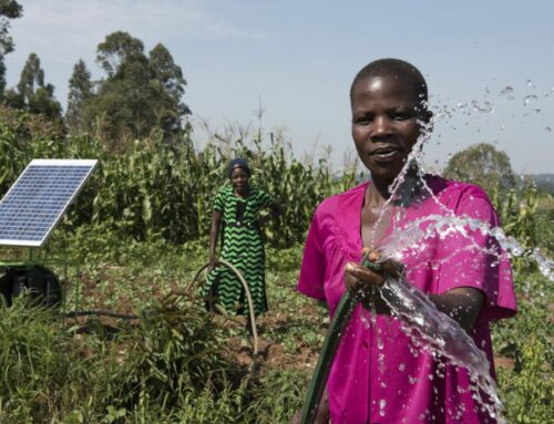The power of renewables: Productive use appliances as climate change solutions in sub-Saharan Africa
