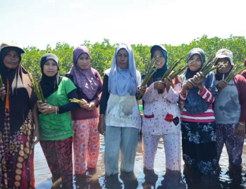 Indonesia’s Womangrove Collective Reclaims The Coast From Shrimp Farms