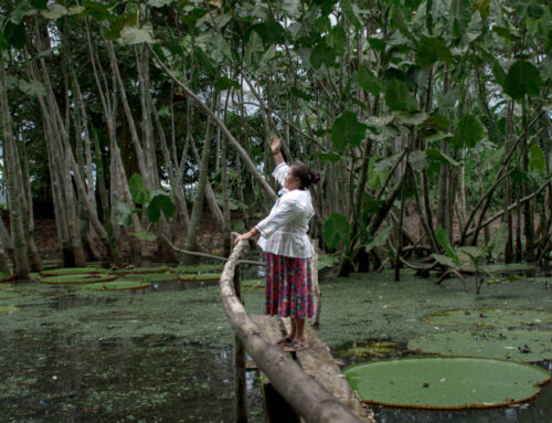 In Peru’s Amazon, Indigenous women lead the way on conservation