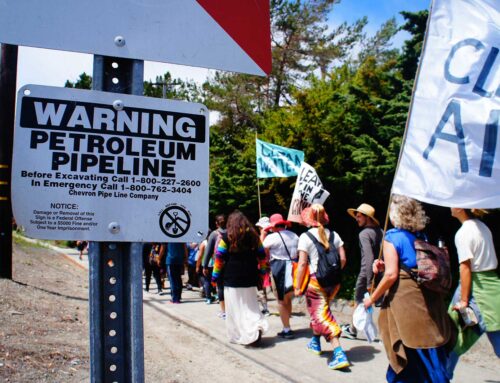 Q&A: Anti-Fracking Activist Sandra Steingraber on Scientists’ Moral Obligation to Speak Out